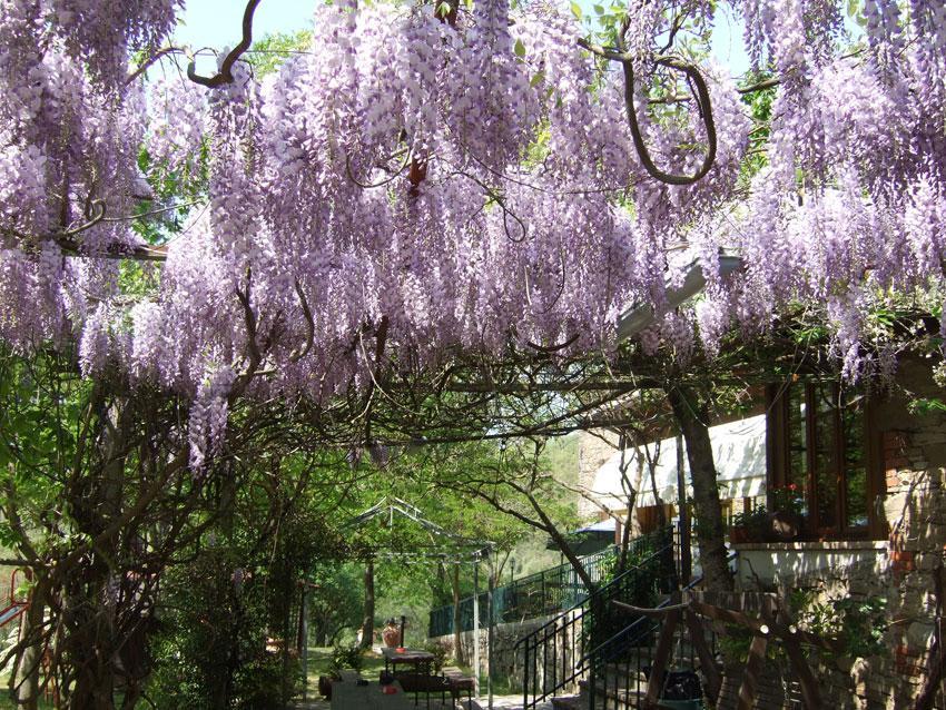 Agriturismo Oasi Verde Mengara Ξενοδοχείο Γκούμπιο Εξωτερικό φωτογραφία
